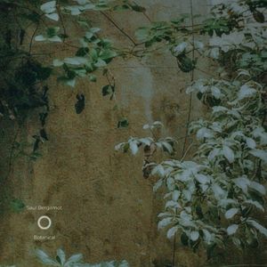 包小姐下载APP软件
