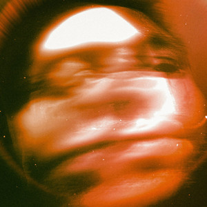 包小姐下载APP软件
