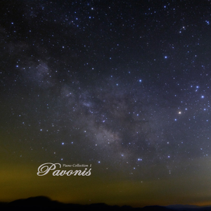 包小姐下载APP软件
